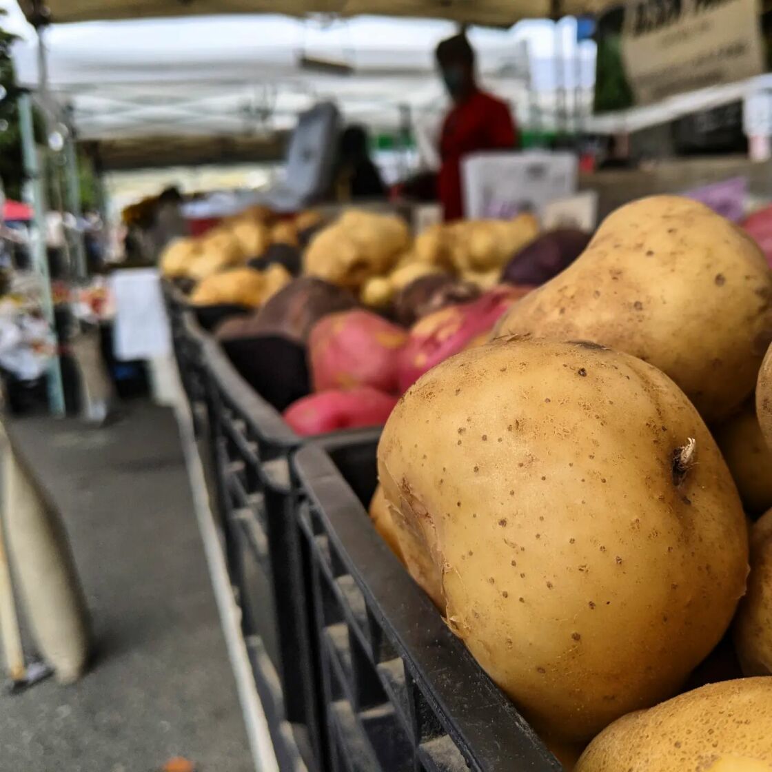 Know your potatoes found at East Bay farmers' markets